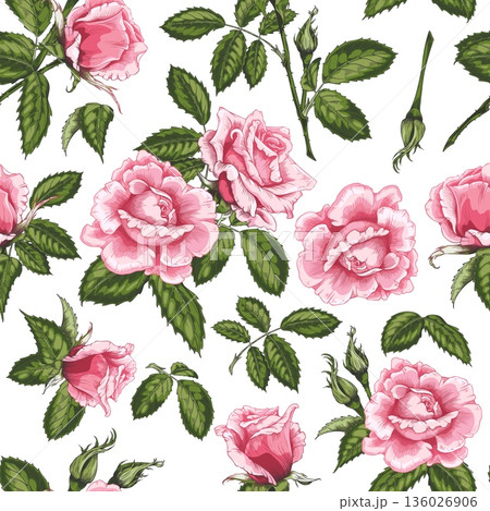 Sketch seamless pattern of a blooming pink roses, vintage rose flower, bud and leaves on stem vector hand drawn design Sketch seamless pattern of a blooming pink roses, vintage rose flower, bud and leaves on stem vector hand drawn design 136026906