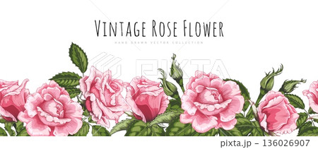 Banner with vintage pink roses and green leaves, along a seamless bottom border. Banner with vintage pink roses and green leaves, along a seamless bottom border. 136026907