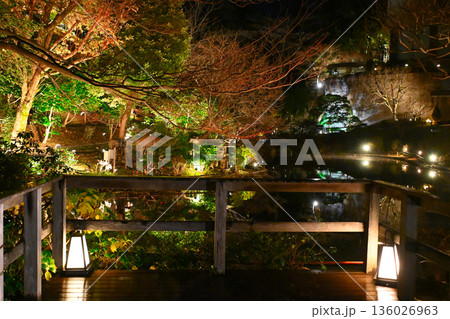 椿山荘の夜景 136026963