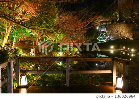 椿山荘の夜景 136026964