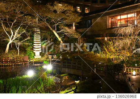 椿山荘の夜景 136026968
