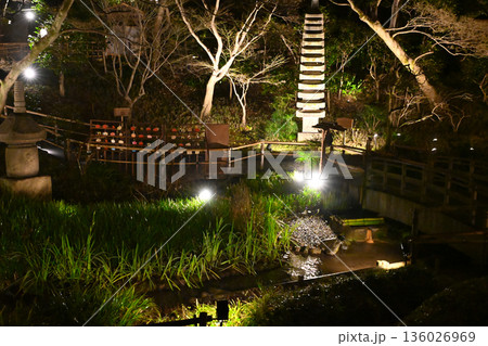 椿山荘の夜景 136026969