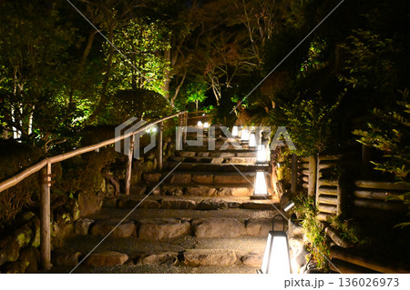 椿山荘の夜景 136026973