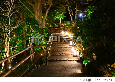 椿山荘の夜景 136026974