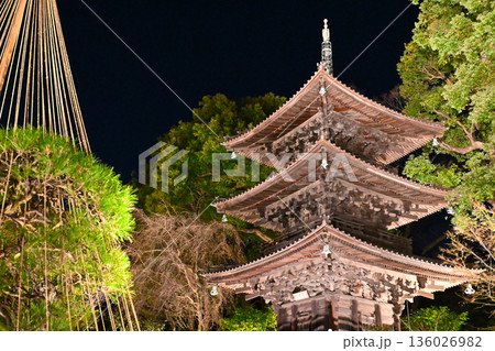 椿山荘の夜景 136026982