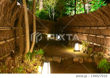 椿山荘の夜景 椿山荘の夜景 136027010