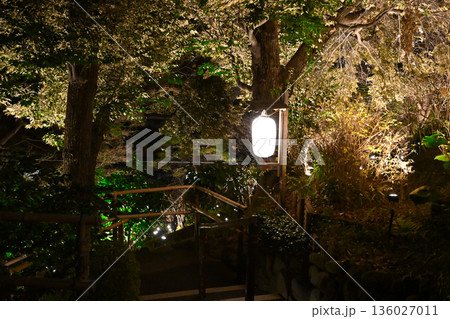 椿山荘の夜景 136027011