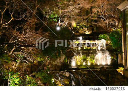 椿山荘の夜景 136027018
