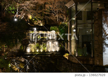 椿山荘の夜景 136027020