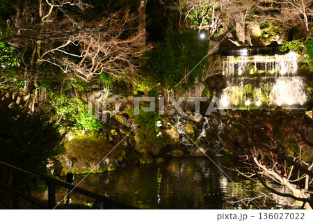 椿山荘の夜景 136027022