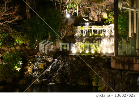 椿山荘の夜景 136027028