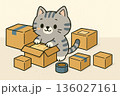 引っ越し準備をしているグレーのとら猫 ゆるい感じ 引っ越し準備をしているグレーのとら猫 ゆるい感じ 136027161
