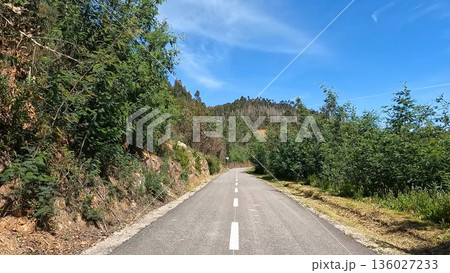 Point of view shot of riding a bicycle Point of view shot of riding a bicycle 136027233
