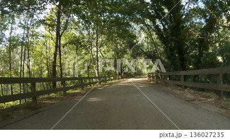 Point of view shot of riding a bicycle 136027235