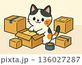 引っ越し準備をしている三毛猫 ゆるい感じ 引っ越し準備をしている三毛猫 ゆるい感じ 136027287