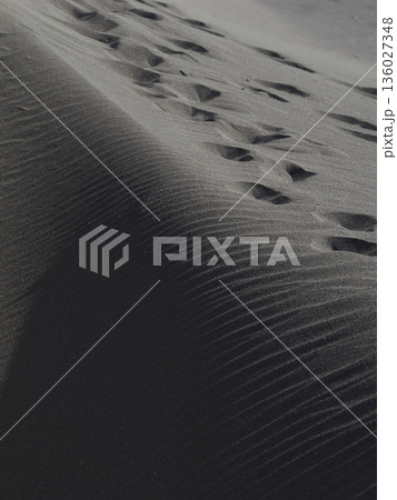 風紋と足跡 風紋と足跡 136027348