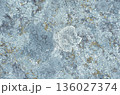 Natural stone surface with multi colored lichen stains. 136027374