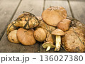 Fresh slippery jacks: Heap of tasty and healthy mushrooms on a wooden table. Natural product, rich in vitamins. Ideal for recipes. 136027380