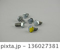 Hex head bolt screws thread on white background. One stand out of all 136027381