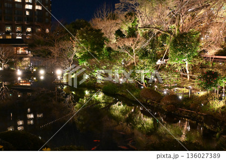 椿山荘の夜景 136027389