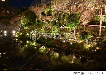 椿山荘の夜景 136027391