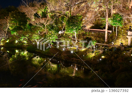 椿山荘の夜景 136027392