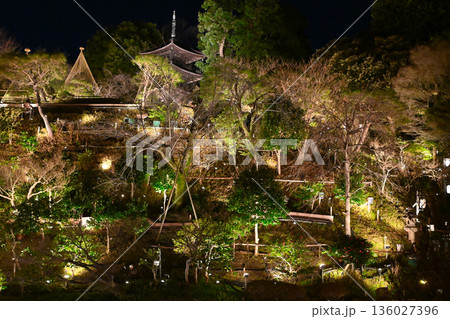 椿山荘の夜景 椿山荘の夜景 136027396