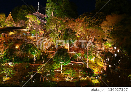 椿山荘の夜景 136027397