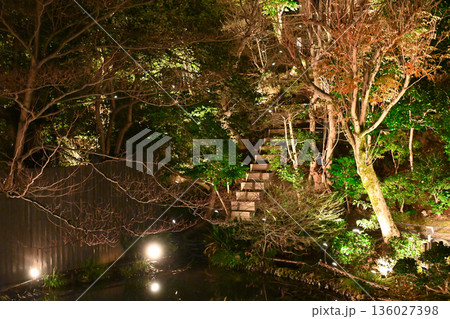 椿山荘の夜景 136027398