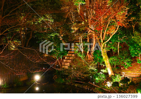 椿山荘の夜景 136027399