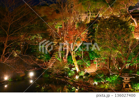 椿山荘の夜景 136027400