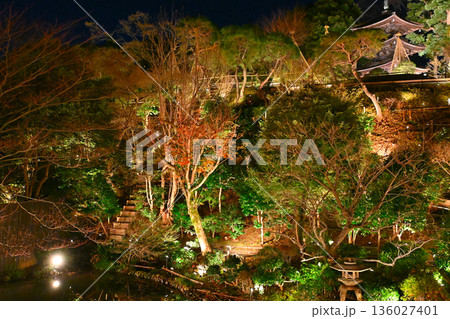 椿山荘の夜景 椿山荘の夜景 136027401