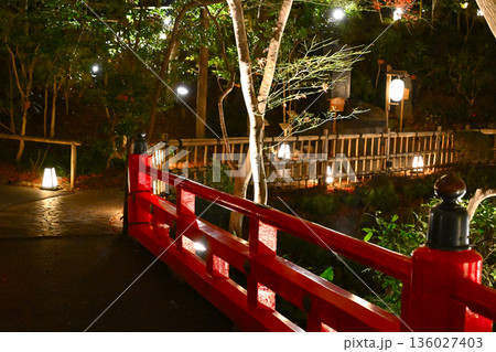 椿山荘の夜景 136027403