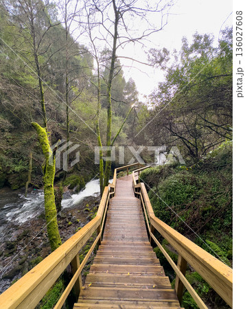 Path to the Stream 136027608