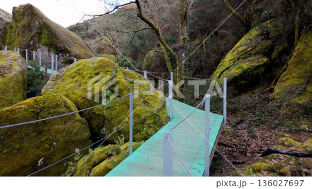Modern Wooden Walkway Passing Through Large Mossy Granite Boulders in a Forest 136027697