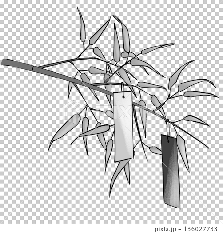 七夕_モノクロ 七夕_モノクロ 136027733