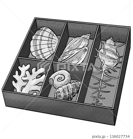 サンゴと貝殻_モノクロ 136027734