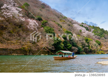 京都・春の嵐山と屋形船 京都・春の嵐山と屋形船 136028093