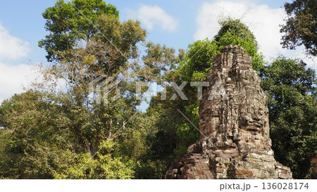 カンボジア タ・プローム遺跡 136028174