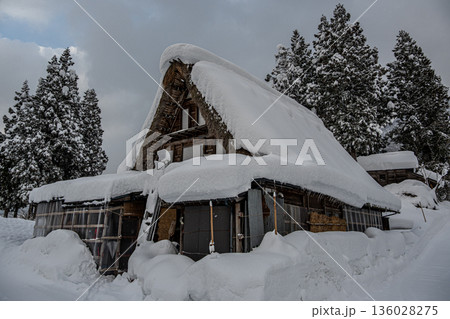 越中五箇山相倉合掌造り集落の雪景色 越中五箇山相倉合掌造り集落の雪景色 136028275