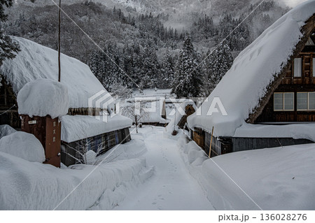 越中五箇山相倉合掌造り集落の雪景色 越中五箇山相倉合掌造り集落の雪景色 136028276