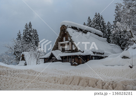 越中五箇山相倉合掌造り集落の雪景色 136028281