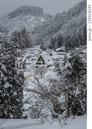 越中五箇山相倉合掌造り集落の雪景色 136028285