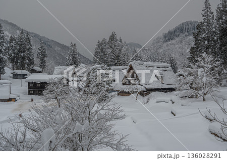越中五箇山相倉合掌造り集落の雪景色 越中五箇山相倉合掌造り集落の雪景色 136028291