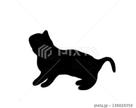 立ち止まる猫のシルエット 立ち止まる猫のシルエット 136028358