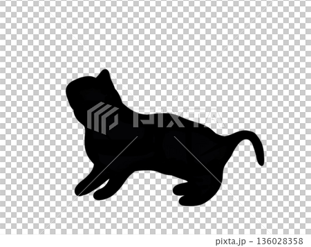 Silhouette of a standing cat Silhouette of a standing cat 136028358