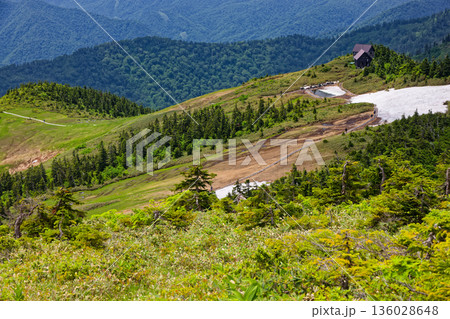 会津駒ヶ岳山頂直下から見る駒の小屋 136028648