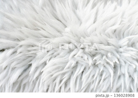 白いふわふわした毛並みのクローズアップ09 136028908
