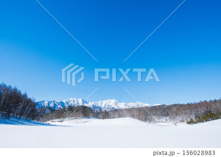 中山高原・スノートレッキング （北アルプスの眺め） 136028983