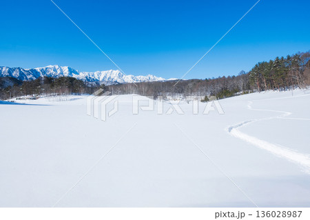 中山高原・スノートレッキング （北アルプスの眺め） 136028987